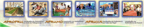 Publicidad